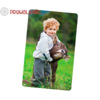 Calendario de bolsillo promocional